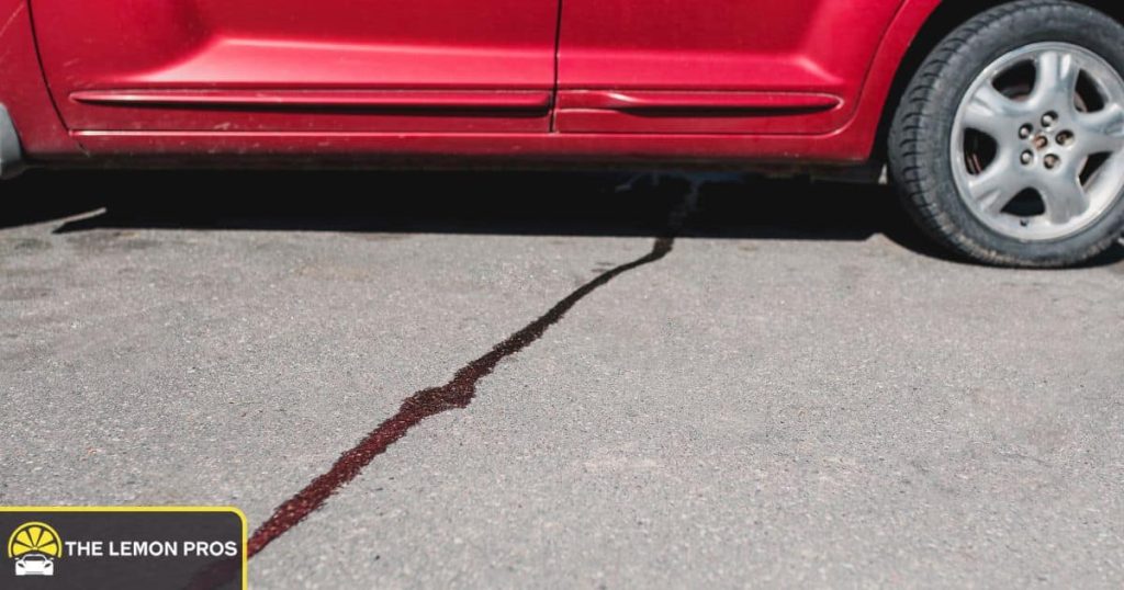 Fluid Leaks