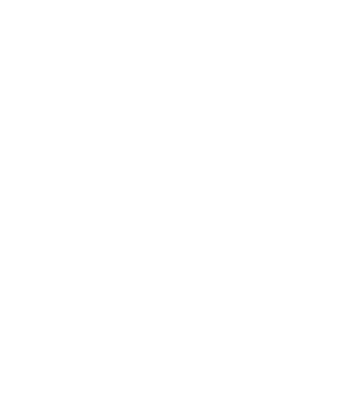 loader